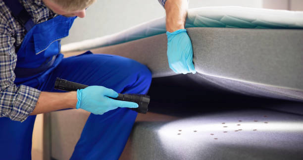 Best Flea Control Services  in Indian Springs Village, AL